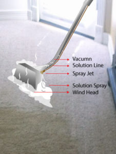 Carpet Cleaning